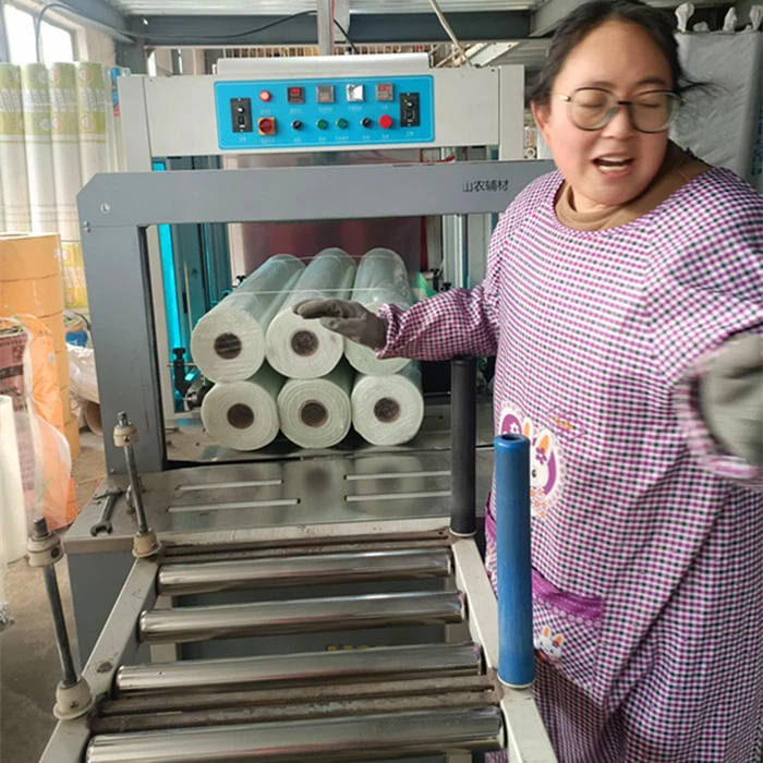 Fiber Glass Mesh Rolls